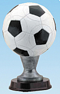 Soccer Ball (6"x12")